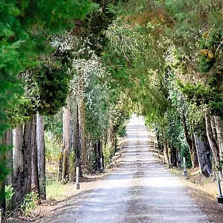 Quinta Da Alcaidaria Mor Ξενοδοχείο
